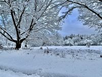 Die Heide im Winter mit Schnee